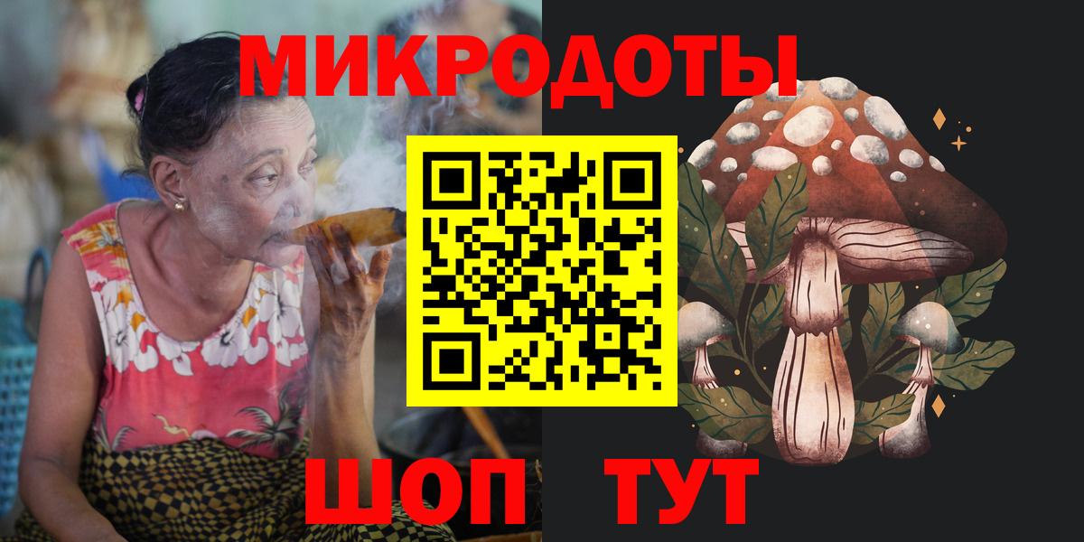 Псилоцибиновые грибы Cubensis Железногорск