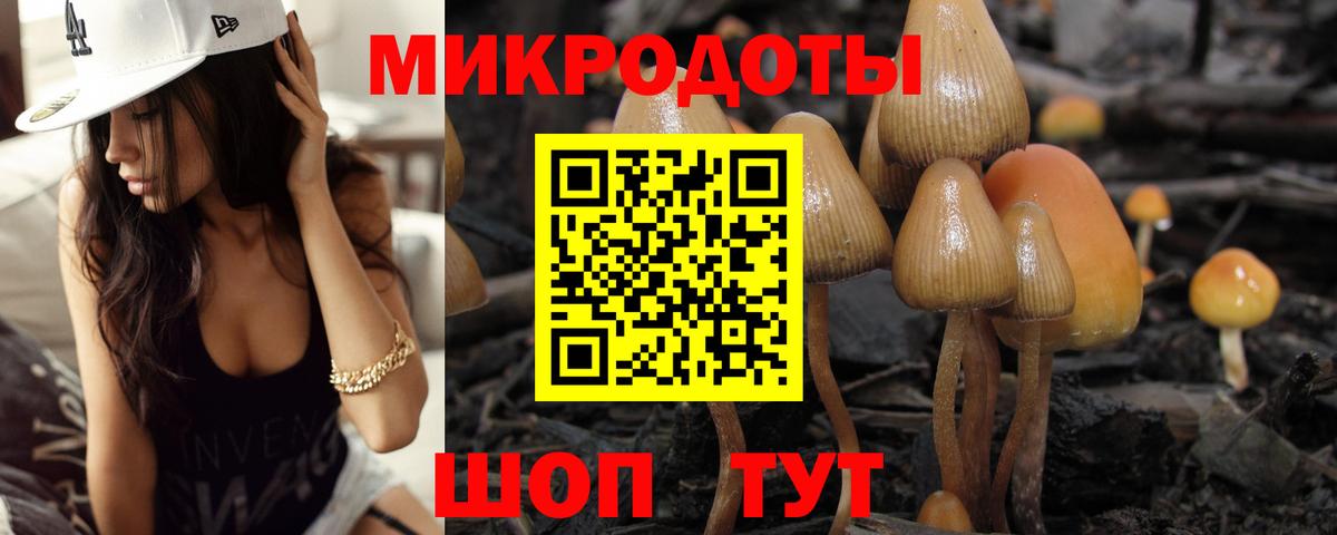 Железногорск  Галлюциногенные грибы ЛСД  Псилоцибиновые грибы Psilocybine cubensis  Вход с VPN 